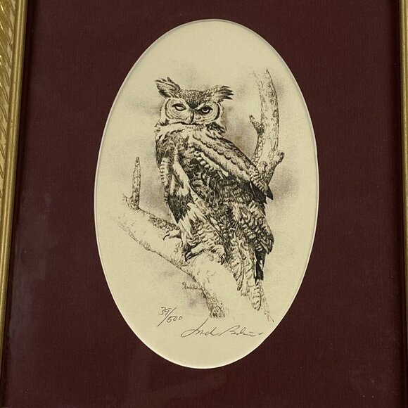 Jack Bolin Great Horned Owl Print Framed Wall Art Limited Edition numbered 39/50 - Picture 9 of 15